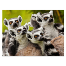 Lemurs Animal Canvas Art From Picture Print Pour le décor de la salle de séjour